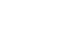 RideZone Premium Chauffeur Service